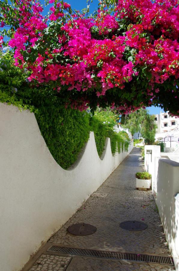 Holidays - De Sonho Appartement